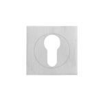 Euro. cylinder escutcheon R50 rose